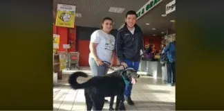 “Occorre poco… vali tanto”