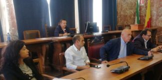 In Prima Commissione consiliare a Palazzo Zanca, si è parlato di interventi di potatura nelle alberature cittadine