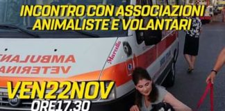 “Le criticità legate, alla gestione del fenomeno del randagismo sono in continuo aumento”