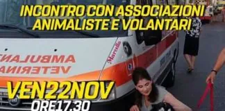 “Le criticità legate, alla gestione del fenomeno del randagismo sono in continuo aumento”
