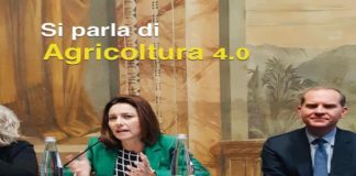 Maria Laura Paxia (deputata nazionale catanese del M5S): “Per l’agricoltura 4.0. in Sicilia, vi sono segnali positivi, tesi alla digitalizzazione agricola”