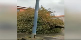 Sono caduti alberi ovunque quest’oggi a Messina, causando conseguenze disastrose alla circolazione stradale