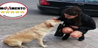 “La lotta al fenomeno del randagismo va concretizzata, non solo annunciata”