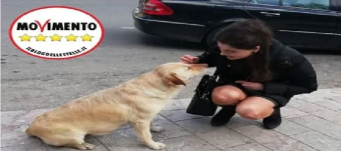 antonella papiro e cani