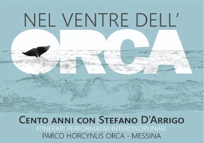 VENTRE ORCA 1