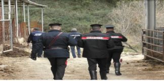 Ieri mattina, nell’ambito di specifici servizi volti al contrasto degli illeciti in materia ambientale e sanitaria, i militari della Stazione di Cesarò (ME) unitamente ai Carabinieri del “N.I.P.A.A.F.”, con sede a Catania, hanno effettuato controlli in due aziende zootecniche nel comune nebroideo