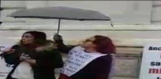 La nota di Emanuela Natoli, sul movimento Cinque Stelle