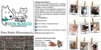 La voce della disperazione…, quella dei volontari del Rifugio Don Blasco di Messina