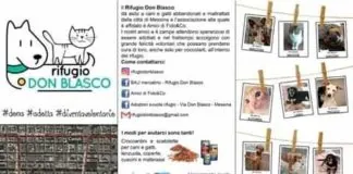 La voce della disperazione…, quella dei volontari del Rifugio Don Blasco di Messina