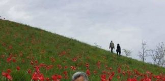 In Consiglio Comunale a Messina, questa sera e’ stata approvata una mozione di indirizzo risalente al periodo accorintiano