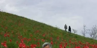 In Consiglio Comunale a Messina, questa sera e’ stata approvata una mozione di indirizzo risalente al periodo accorintiano