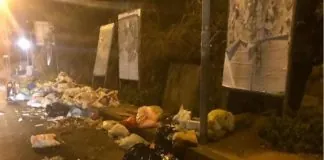 “Ho appena richiesto, insieme a Lorena Fulco consigliere V^ Circoscrizione, la rimozione immediata dei cumuli di spazzatura abbandonati sulla Strada Panoramica dello Stretto”