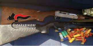 E’ stato attuato, a ridosso dell’area dello stretto di Messina, un servizio antibracconaggio dei Carabinieri forestali dei Nuclei Carabinieri CITES di Reggio Calabria e Catania e del SOARDA – Sezione Operativa Antibracconaggio e Reati in Danno degli Animali