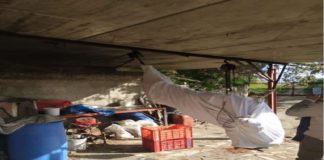 Nel corso dell’ordinaria attività di controllo del territorio, questa mattina la Sezione Specialistica della Polizia Municipale di Messina, ha intercettato un motociclo che trasportava un quarto di maiale macellato da poco