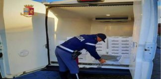 Gli Agenti del Distaccamento della Polizia Stradale di Barcellona Pozzo di Gotto, nel corso di specifici servizi mirati al controllo di veicoli adibiti al trasporto di prodotti alimentari, hanno sequestrato oltre 1.100 Kg di novellame di sarda