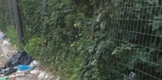 Aggiornamento, da Reggio Calabria: “I trasportini rinvenuti sono una decina…, con all’interno dei mici mummificati… dopo essere intevenuti sul posto abbiamo potuto verificare che nessun gatto era bruciato ma bensì in tutti i trasportini sono stati rinvenuti mici, ribadisco, mummificati”