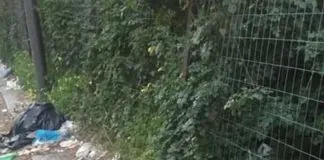 Aggiornamento, da Reggio Calabria: “I trasportini rinvenuti sono una decina…, con all’interno dei mici mummificati… dopo essere intevenuti sul posto abbiamo potuto verificare che nessun gatto era bruciato ma bensì in tutti i trasportini sono stati rinvenuti mici, ribadisco, mummificati”