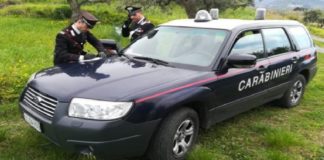 Nell’ambito di servizi volti al contrasto degli illeciti in materia ambientale e di Polizia veterinaria, i Carabinieri della Stazione di Caronia (ME) unitamente a militari del “NIPAAF”, il Nucleo Investigativo di Polizia Ambientale Agroalimentare e Forestale dei Carabinieri di Catania, hanno eseguito approfonditi controlli a carico di due aziende agricole