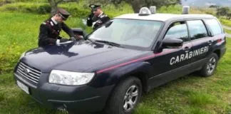 Nell’ambito di servizi volti al contrasto degli illeciti in materia ambientale e di Polizia veterinaria, i Carabinieri della Stazione di Caronia (ME) unitamente a militari del “NIPAAF”, il Nucleo Investigativo di Polizia Ambientale Agroalimentare e Forestale dei Carabinieri di Catania, hanno eseguito approfonditi controlli a carico di due aziende agricole