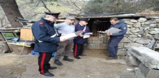 Quest’oggi, nel comune di Mandanici, in collaborazione con i Carabinieri del NAS di Catania, gli agenti del Corpo Forestale della Regione Sicilia ed i veterinari dell’ASP di Messina, i Carabinieri del Compagnia Messina Sud hanno svolto un servizio straordinario