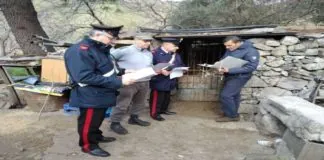 Quest’oggi, nel comune di Mandanici, in collaborazione con i Carabinieri del NAS di Catania, gli agenti del Corpo Forestale della Regione Sicilia ed i veterinari dell’ASP di Messina, i Carabinieri del Compagnia Messina Sud hanno svolto un servizio straordinario