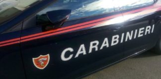 Ieri, nell’ambito dei servizi di controllo del territorio, i Carabinieri della Stazione di Castel di Lucio hanno denunciato, in stato di libertà, un 81enne del luogo
