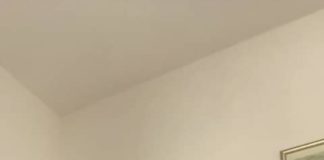 La Croce Rossa di Piglio omaggiata di mascherine e guanti dal Presidente Nazionale di Più Italia, Fabrizio Pignalberi