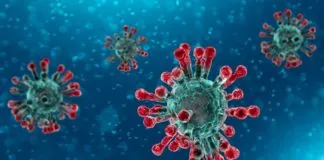 Coronavirus, in Sicilia: finora si sono registrati 6 casi di positività su 291 tamponi effettuati
