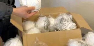 La Gdf di Milazzo unitamente a personale della Polizia locale, oggi ha rinvenuto e sequestrato 250 mascherine non conformi alla vigente normativa