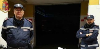 Gli Agenti del Distaccamento della Polizia Stradale di Barcellona Pozzo di Gotto, nel corso di specifici servizi mirati al controllo di veicoli adibiti al trasporto di prodotti alimentari, hanno sequestrato svariati chilogrammi di novellame di sarda