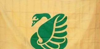 Anche oggi, una giornata spesa a tutela del verde a Messina: Il circolo Legambiente dei Peloritani è tornato a pulire la centralissima aiuola di via Santa Cecilia, accanto la Caserma PS Calipari e la Basilica Sant’Antonio