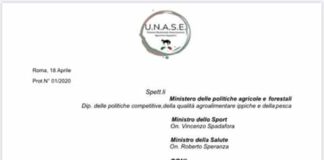 UNASE e Più Italia Italia, chiedono interventi mirati
