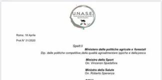 UNASE e Più Italia Italia, chiedono interventi mirati