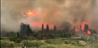 Continua senza sosta il lavoro dei vigili del Fuoco del Comando Provinciale di Messina che sono impegnati, dalle ore 12:00 di ieri, a fronteggiare un vasto incendio boschivo, nelle contrade San Martino, Grangiara e Nisi del comune di Spadafora (Me)