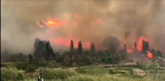 Continua senza sosta il lavoro dei vigili del Fuoco del Comando Provinciale di Messina che sono impegnati, dalle ore 12:00 di ieri, a fronteggiare un vasto incendio boschivo, nelle contrade San Martino, Grangiara e Nisi del comune di Spadafora (Me)