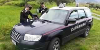 I Carabinieri della Stazione di Caronia, con il supporto dei Carabinieri del Nucleo Operativo Ecologico di Catania, coordinati dalla Procura della Repubblica di Patti, nell’ambito di un’attività di contrasto dei reati in materia ambientale, hanno deferito in stato di libertà il 60enne L.S., il 53enne C.C., ed il 32enne C.I.