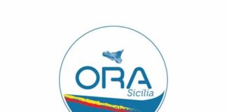 «Attivare un progetto di sperimentazione della plasmaterapia in Sicilia, per curare i pazienti affetti da Covid-19»