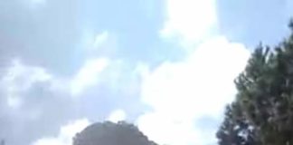 Questa mattina Fabrizio Pignalberi, il leader del Movimento Più Italia che ha la sua Sede nazionale a Frosinone, ha partecipato in videoconferenza alla manifestazione, organizzata a Roma, dai venditori ambulanti