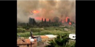 Intorno alle 14.00 di oggi, un vasto incendio è divampato in località San Martino a Spadafora