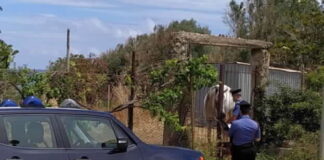 Nei giorni scorsi, nell’ambito dei servizi finalizzati al contrasto dei reati ambientali, i Carabinieri della Stazione di Caronia, coadiuvati dal Nucleo Investigativo Polizia Ambientale Agroalimentare e Forestale dei Carabinieri Forestali – Centro Anticrimine Natura di Catania, hanno denunciato una persona alla Procura della Repubblica di Patti (ME)