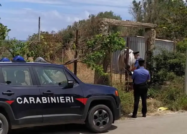 CC-Caronia-controlli-ambientali