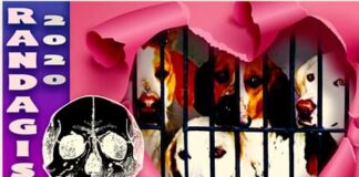 La triste avventura, dei cani del “Rifugio Don Blasco” a Messina