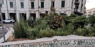 Per consentire il posizionamento di un argano meccanico e piattaforma aerea, al fine di eseguire prove di trazione per la verifica di stabilità degli alberi di pino insistenti sul lato valle di viale Italia, sono stati adottati provvedimenti viari