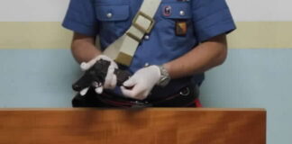 Nella mattinata del 26 giugno, i Carabinieri della Stazione di Roccella Valdemone (ME), dello Squadrone Eliportato Cacciatori di Sicilia e del Nucleo Cinofili di Nicolosi hanno arrestato il 55enne B.M.