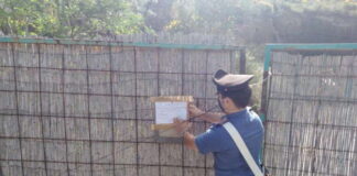 Nei giorni scorsi, i Carabinieri della Compagnia di Milazzo hanno eseguito un’ordinanza emessa dal Tribunale del Riesame di Messina, su richiesta della Procura della Repubblica di Barcellona Pozzo di Gotto, guidata dal Procuratore Dott. Emanuele Crescenti