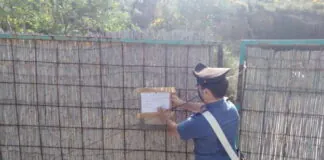 Nei giorni scorsi, i Carabinieri della Compagnia di Milazzo hanno eseguito un’ordinanza emessa dal Tribunale del Riesame di Messina, su richiesta della Procura della Repubblica di Barcellona Pozzo di Gotto, guidata dal Procuratore Dott. Emanuele Crescenti