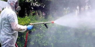 Gli operatori di Messinaservizi Bene Comune, inizieranno da domani la disinfestazione della zona Sud della città