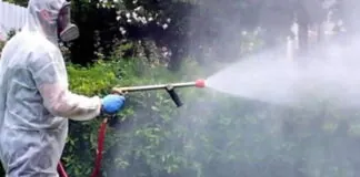 Gli operatori di Messinaservizi Bene Comune, inizieranno da domani la disinfestazione della zona Sud della città