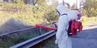 Messinaservizi Bene Comune prosegue la disinfestazione contro blatte, zecche, formiche, pappataci, pulci e zanzare