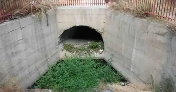 received_271082024335488